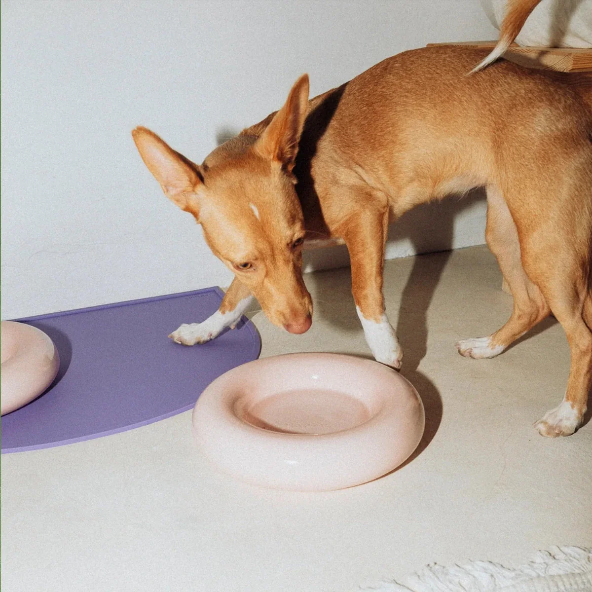 Ceramic Dog Feeder // Pink - Image 5